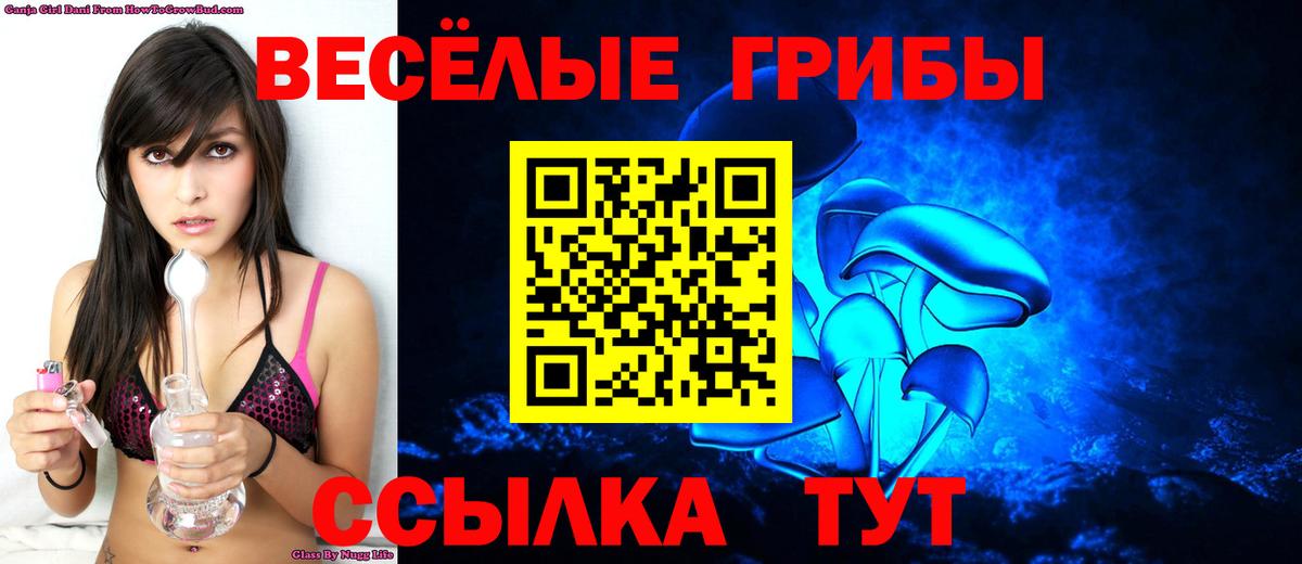 Галлюциногенные грибы Psilocybe Пугачёв